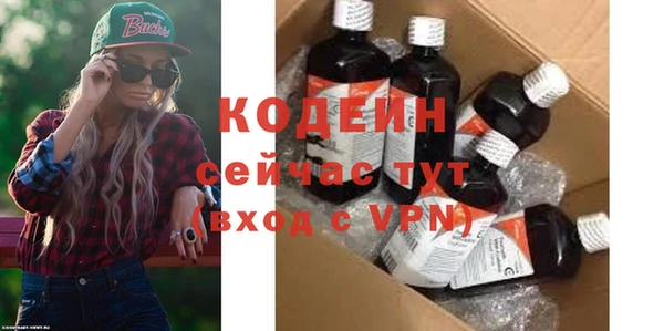 дживик Бородино