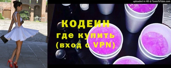 дживик Бородино
