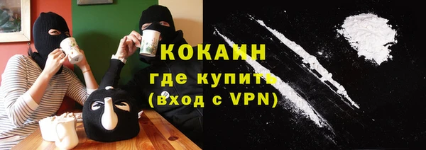 дживик Бородино
