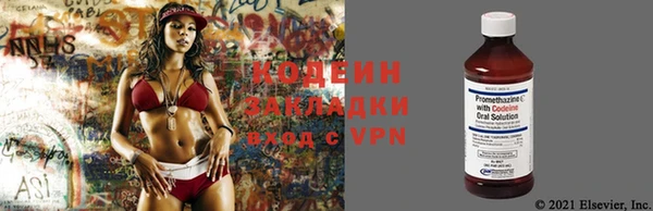 дживик Бородино