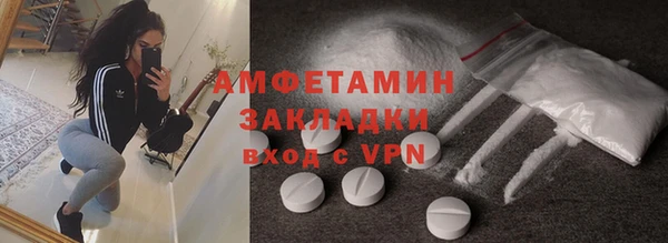 дживик Бородино