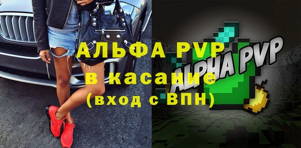 дживик Бородино