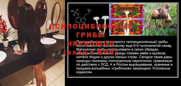 дживик Бородино