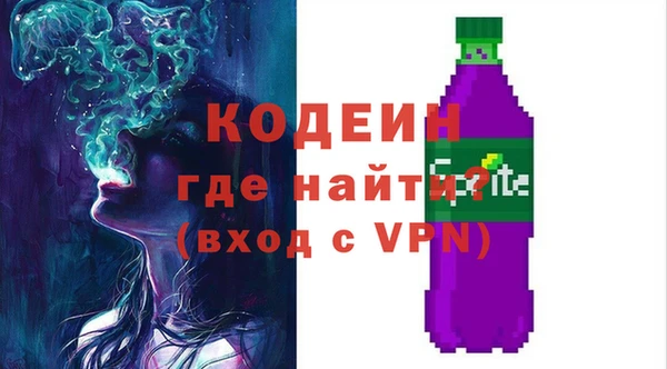 дживик Бородино