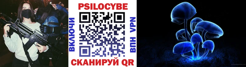 дарнет шоп  Клинцы  darknet формула  Псилоцибиновые грибы GOLDEN TEACHER 